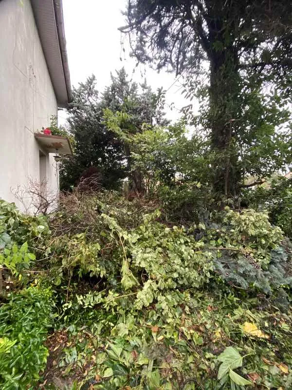 Entretien jardin, Jardinier à domicile, Nay, Vincentretien