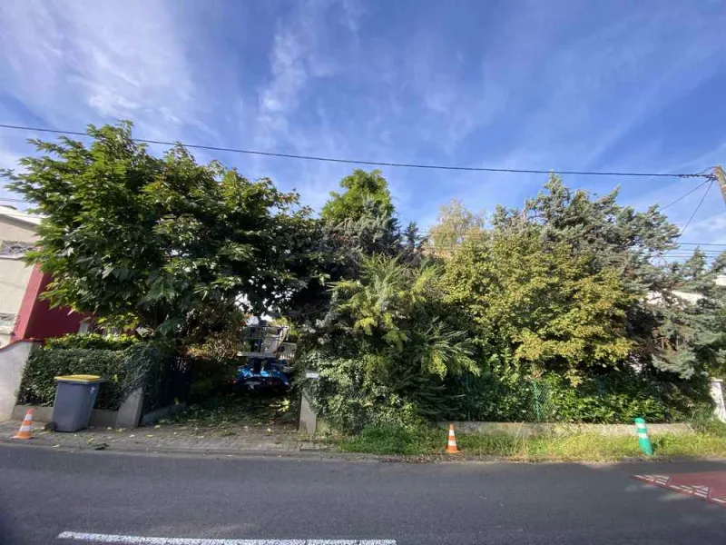 Entretien jardin, Jardinier à domicile, Nay, Vincentretien