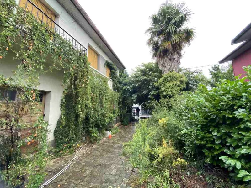 Entretien jardin, Jardinier à domicile, Nay, Vincentretien