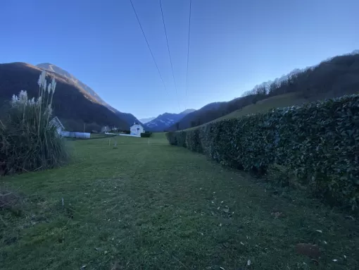 Entretien et une taille de haie à proximité de Nay