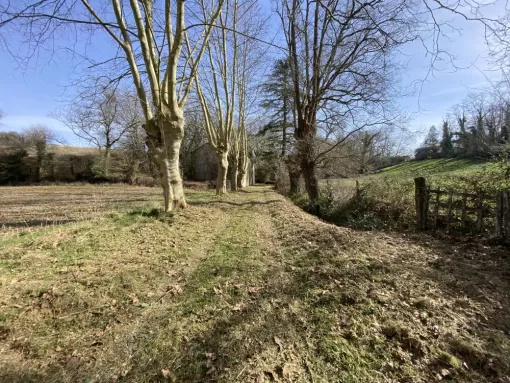 Débroussaillage complet du chemin d’accès d’une maison de maître à Nay, Nay, Vincentretien