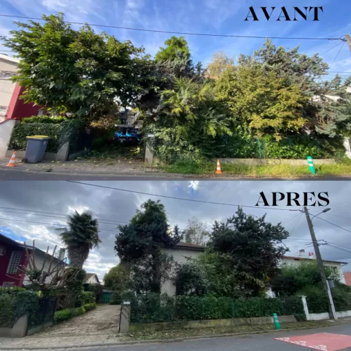 Entreprise spécialisée dans l’élagage d’arbres à Tarbes, Nay, Vincentretien