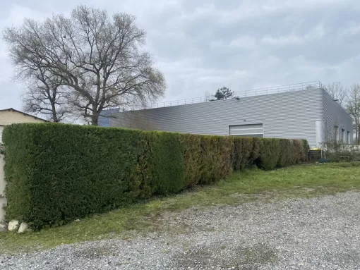 Taille de haie à Nay : L’expertise de Vincentretien pour un jardin impeccable, Nay, Vincentretien