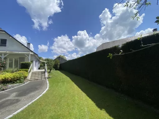 Taille de haie à Nay : un entretien précis pour des extérieurs nets, Nay, Vincentretien