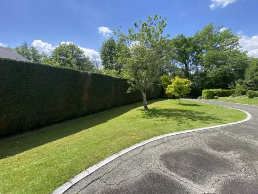 Taille de haie à Lourdes : donnez une nouvelle allure à votre jardin, Nay, Vincentretien