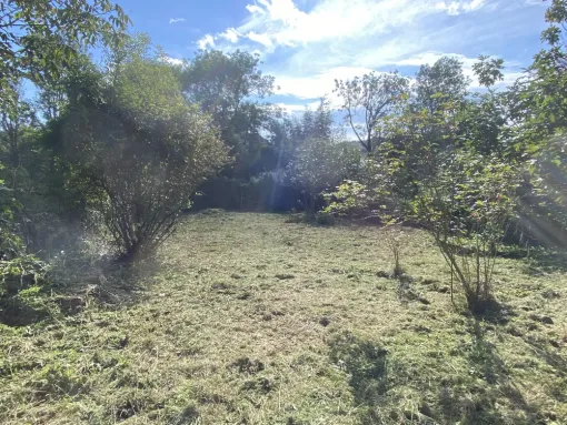 Débroussaillage d’un terrain sur la commune de Nay, Nay, Vincentretien