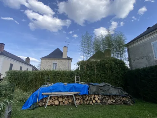 Taille / rabattage d’une haie de bambous sur la commune de Nay, Nay, Vincentretien