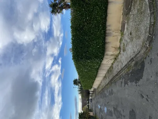 Taille de d’une haie de Laurier à Nay, Nay, Vincentretien