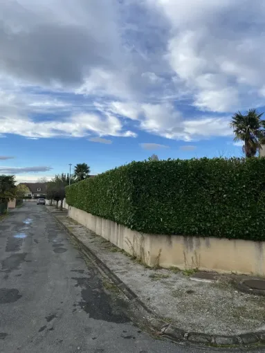 Taille de d’une haie de Laurier à Nay, Nay, Vincentretien