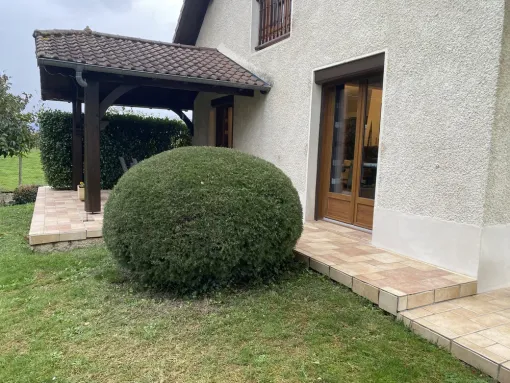 Taille de haie en boule et entretien d’une propriété à Nay, Nay, Vincentretien