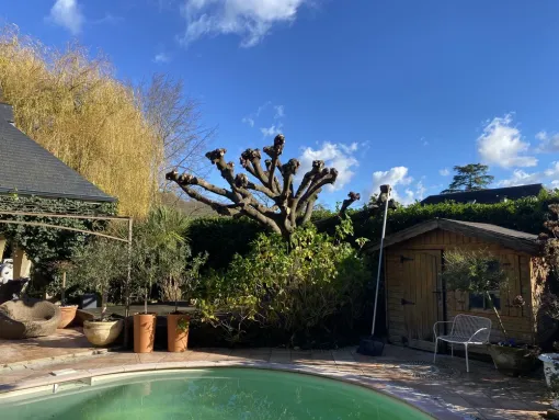 Taille d’un mûrier platane sur la commune de Nay, Nay, Vincentretien