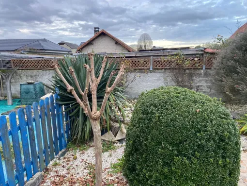 Taille d'arbre à Bordes : taille et élagage d'un Lagestremia, Nay, Vincentretien