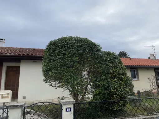 Taille d’arbustes à Bordés : taille de haie, Nay, Vincentretien