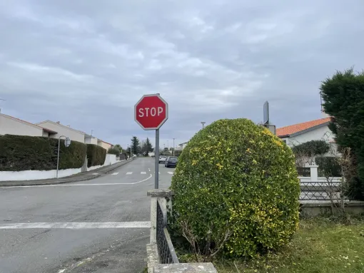 Taille d’arbuste à Assat et taille de haie, Nay, Vincentretien