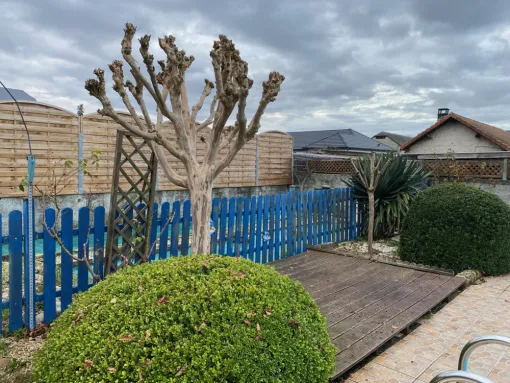 Taille d'arbre à Assat : taille et élagage d'un lagestremia, Nay, Vincentretien