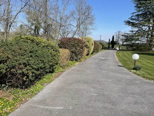 Taille d’arbuste à Nay, Nay, Vincentretien