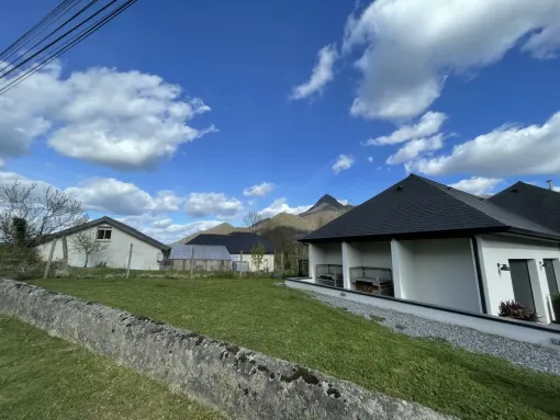 Tonte pelouse à Assat, Nay, Vincentretien