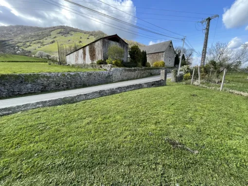 Tonte à St Pé de Bigorre, Nay, Vincentretien