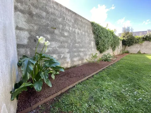 Création massif au fond d'un jardin à Pau, Nay, Vincentretien