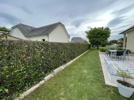 Taille de haie et tonte de pelouse à Bizanos, Nay, Vincentretien