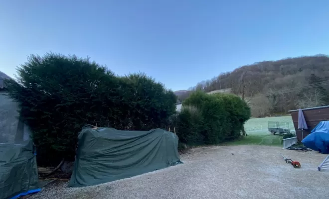 Taille de haies avec rabattage à Arthez-d'Asson, Nay, Vincentretien