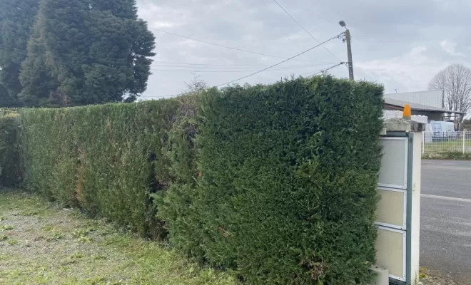 Taille de haie à Nay : L’expertise de Vincentretien pour un jardin impeccable, Nay, Vincentretien