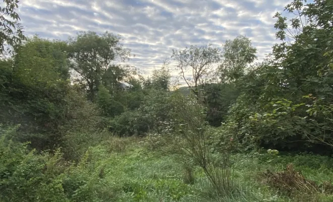 Débroussaillage d’un terrain sur la commune de Nay, Nay, Vincentretien