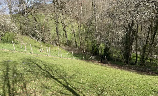 Tonte d’un terrain en pente à Montaut, Nay, Vincentretien
