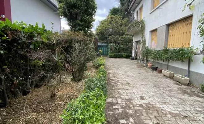 Entretien jardin, Nay, Vincentretien