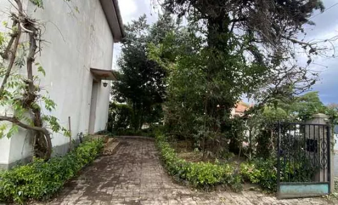Entretien jardin, Nay, Vincentretien