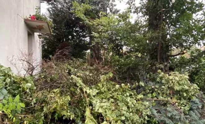 Entretien jardin, Nay, Vincentretien